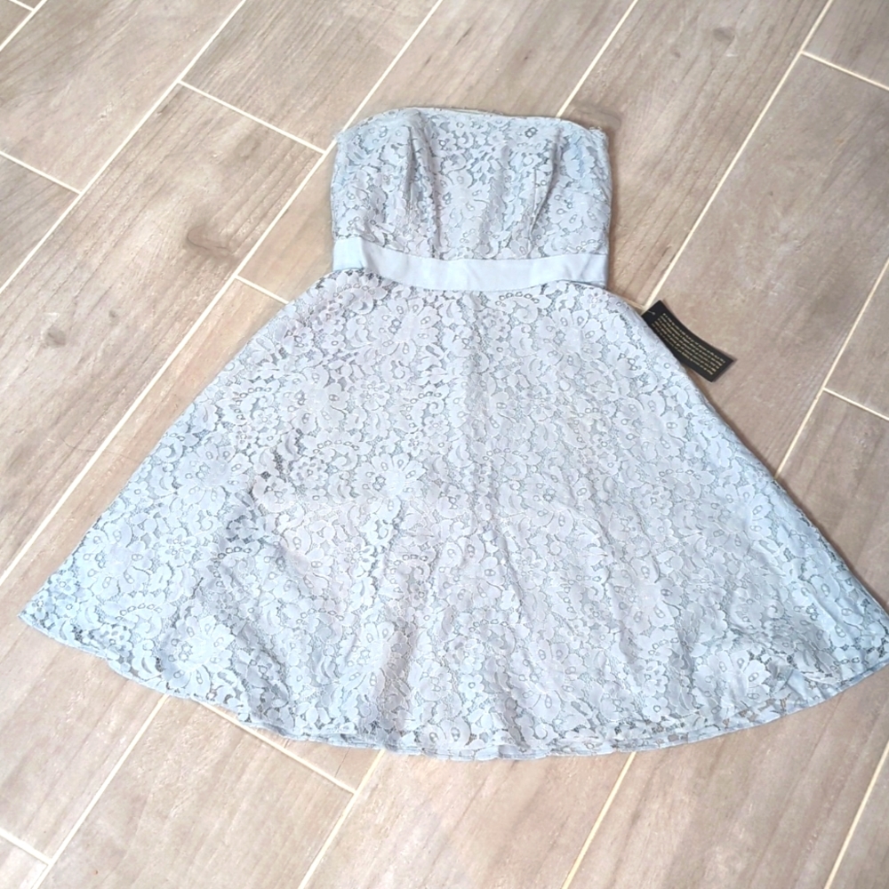 NWT Ann Taylor Petite lace A line dress 00P / XXS